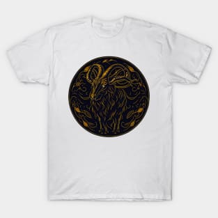 Aries T-Shirt